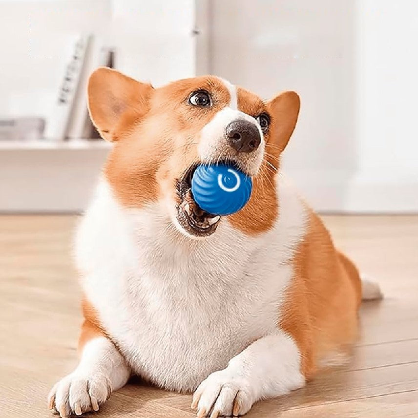 Pelota Inteligente Perros-Gato