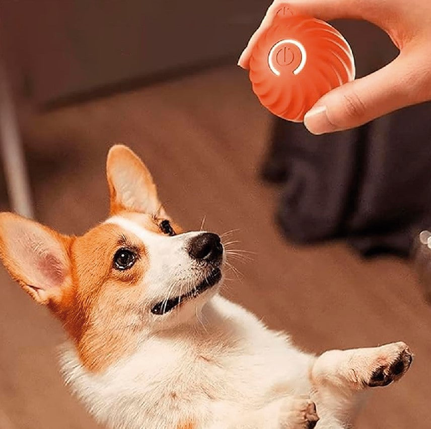 Pelota Inteligente Perros-Gato